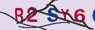 キャプチャ(CAPTCHA)認証コード