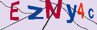 キャプチャ(CAPTCHA)認証コード