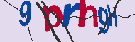 キャプチャ(CAPTCHA)認証コード