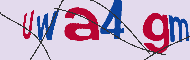キャプチャ(CAPTCHA)認証コード