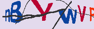 キャプチャ(CAPTCHA)認証コード