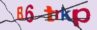 キャプチャ(CAPTCHA)認証コード