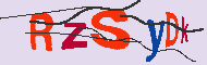 キャプチャ(CAPTCHA)認証コード