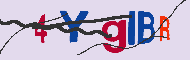 キャプチャ(CAPTCHA)認証コード