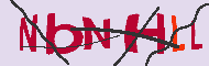 キャプチャ(CAPTCHA)認証コード