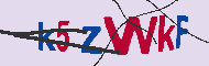キャプチャ(CAPTCHA)認証コード