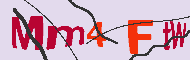 キャプチャ(CAPTCHA)認証コード