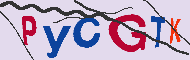 キャプチャ(CAPTCHA)認証コード