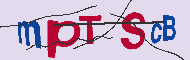 キャプチャ(CAPTCHA)認証コード