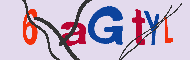 キャプチャ(CAPTCHA)認証コード