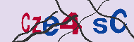 キャプチャ(CAPTCHA)認証コード