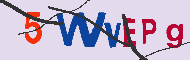 キャプチャ(CAPTCHA)認証コード