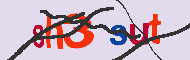 キャプチャ(CAPTCHA)認証コード