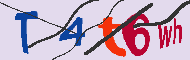 キャプチャ(CAPTCHA)認証コード