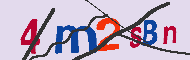 キャプチャ(CAPTCHA)認証コード