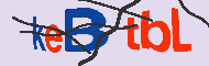 キャプチャ(CAPTCHA)認証コード