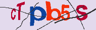 キャプチャ(CAPTCHA)認証コード