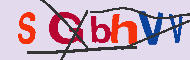 キャプチャ(CAPTCHA)認証コード
