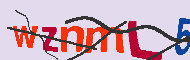 キャプチャ(CAPTCHA)認証コード