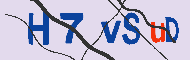 キャプチャ(CAPTCHA)認証コード