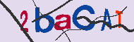 キャプチャ(CAPTCHA)認証コード