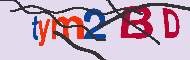 キャプチャ(CAPTCHA)認証コード