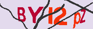 キャプチャ(CAPTCHA)認証コード