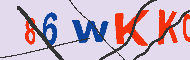 キャプチャ(CAPTCHA)認証コード