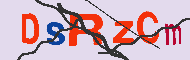 キャプチャ(CAPTCHA)認証コード