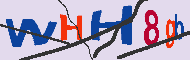 キャプチャ(CAPTCHA)認証コード