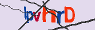 キャプチャ(CAPTCHA)認証コード