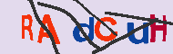キャプチャ(CAPTCHA)認証コード