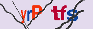 キャプチャ(CAPTCHA)認証コード
