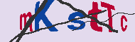 キャプチャ(CAPTCHA)認証コード