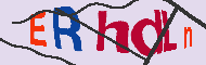 キャプチャ(CAPTCHA)認証コード