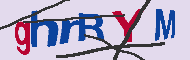 キャプチャ(CAPTCHA)認証コード