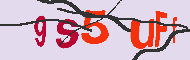 キャプチャ(CAPTCHA)認証コード