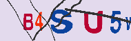 キャプチャ(CAPTCHA)認証コード
