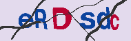 キャプチャ(CAPTCHA)認証コード
