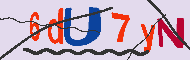 キャプチャ(CAPTCHA)認証コード