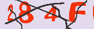 キャプチャ(CAPTCHA)認証コード
