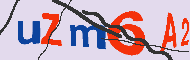キャプチャ(CAPTCHA)認証コード