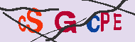 キャプチャ(CAPTCHA)認証コード