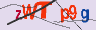キャプチャ(CAPTCHA)認証コード