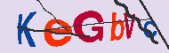キャプチャ(CAPTCHA)認証コード
