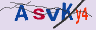 キャプチャ(CAPTCHA)認証コード