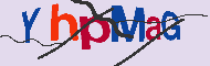 キャプチャ(CAPTCHA)認証コード