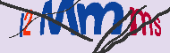 キャプチャ(CAPTCHA)認証コード