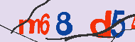 キャプチャ(CAPTCHA)認証コード
