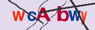 キャプチャ(CAPTCHA)認証コード
